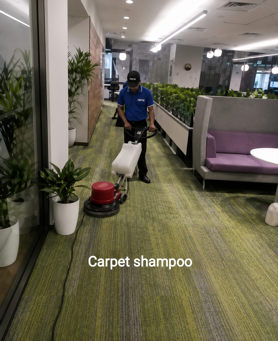 Sofa, Chairs & Carpet Shampoo